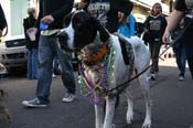 Mystic-Krewe-of-Barkus-Mardi-Gras-2010-French-Quarter-5028