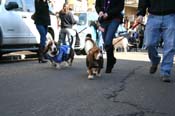 Mystic-Krewe-of-Barkus-Mardi-Gras-2010-French-Quarter-5031