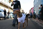 Mystic-Krewe-of-Barkus-Mardi-Gras-2010-French-Quarter-5032