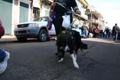 Mystic-Krewe-of-Barkus-Mardi-Gras-2010-French-Quarter-5055