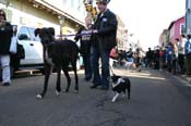 Mystic-Krewe-of-Barkus-Mardi-Gras-2010-French-Quarter-5057