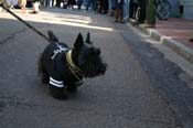 Mystic-Krewe-of-Barkus-Mardi-Gras-2010-French-Quarter-5058