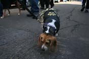 Mystic-Krewe-of-Barkus-Mardi-Gras-2010-French-Quarter-5067