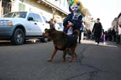 Mystic-Krewe-of-Barkus-Mardi-Gras-2010-French-Quarter-5070