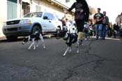 Mystic-Krewe-of-Barkus-Mardi-Gras-2010-French-Quarter-5077