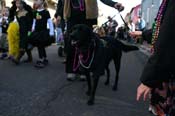 Mystic-Krewe-of-Barkus-Mardi-Gras-2010-French-Quarter-5080