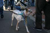 Mystic-Krewe-of-Barkus-Mardi-Gras-2010-French-Quarter-5093