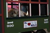 Mystic-Krewe-of-Barkus-Mardi-Gras-2010-French-Quarter-5100