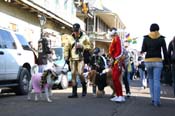 Mystic-Krewe-of-Barkus-Mardi-Gras-2010-French-Quarter-5105