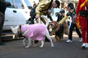 Mystic-Krewe-of-Barkus-Mardi-Gras-2010-French-Quarter-5106