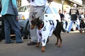 Mystic-Krewe-of-Barkus-Mardi-Gras-2010-French-Quarter-5125