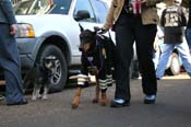 Mystic-Krewe-of-Barkus-Mardi-Gras-2010-French-Quarter-5126