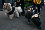 Mystic-Krewe-of-Barkus-Mardi-Gras-2010-French-Quarter-5130