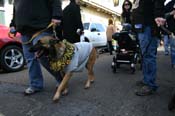 Mystic-Krewe-of-Barkus-Mardi-Gras-2010-French-Quarter-5137