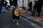 Mystic-Krewe-of-Barkus-Mardi-Gras-2010-French-Quarter-5138