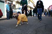 Mystic-Krewe-of-Barkus-Mardi-Gras-2010-French-Quarter-5139