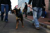 Mystic-Krewe-of-Barkus-Mardi-Gras-2010-French-Quarter-5140