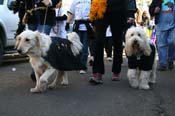 Mystic-Krewe-of-Barkus-Mardi-Gras-2010-French-Quarter-5155