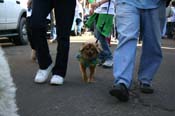 Mystic-Krewe-of-Barkus-Mardi-Gras-2010-French-Quarter-5156