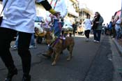 Mystic-Krewe-of-Barkus-Mardi-Gras-2010-French-Quarter-5190