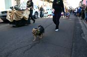 Mystic-Krewe-of-Barkus-Mardi-Gras-2010-French-Quarter-5194