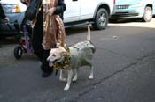 Mystic-Krewe-of-Barkus-Mardi-Gras-2010-French-Quarter-5217