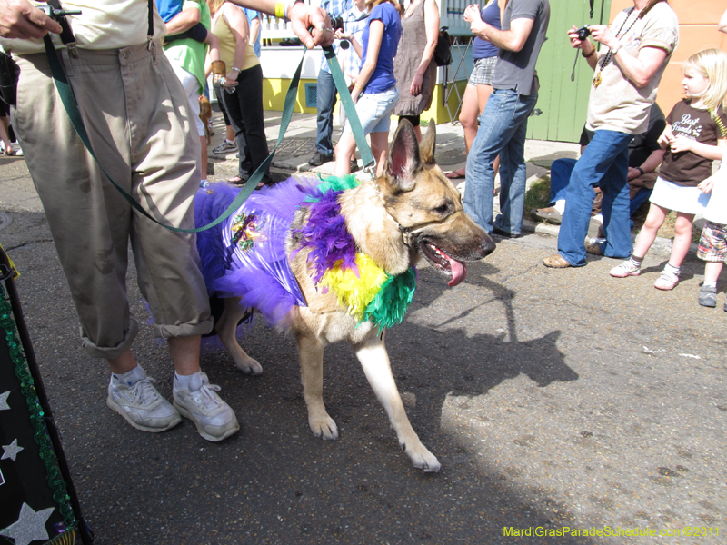 Mystic-Krewe-of-Barkus-HC-2011-0104