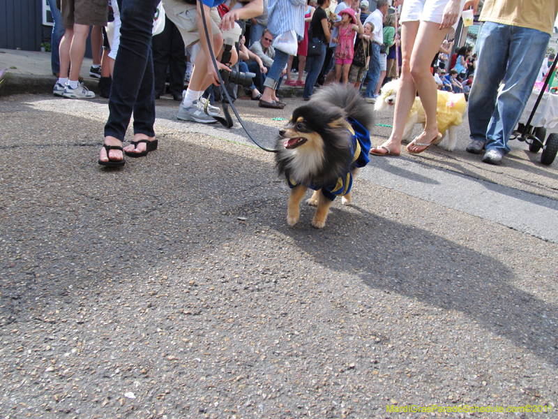 Mystic-Krewe-of-Barkus-HC-2011-0107