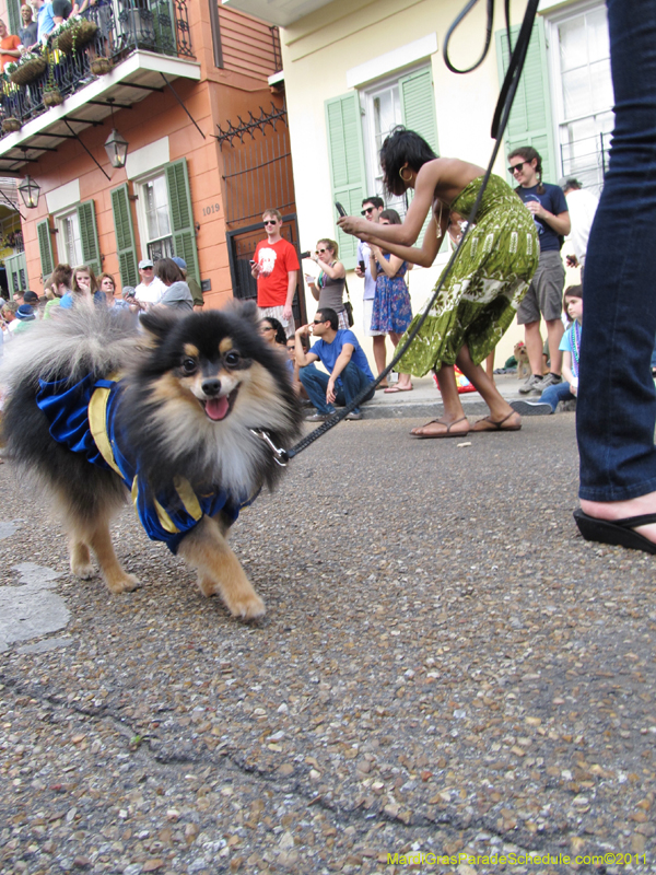 Mystic-Krewe-of-Barkus-HC-2011-0109