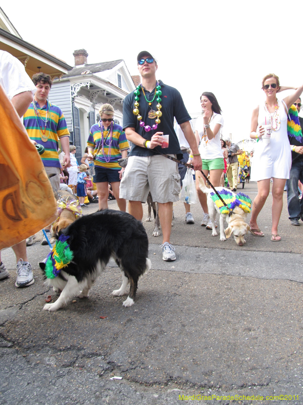 Mystic-Krewe-of-Barkus-HC-2011-0122