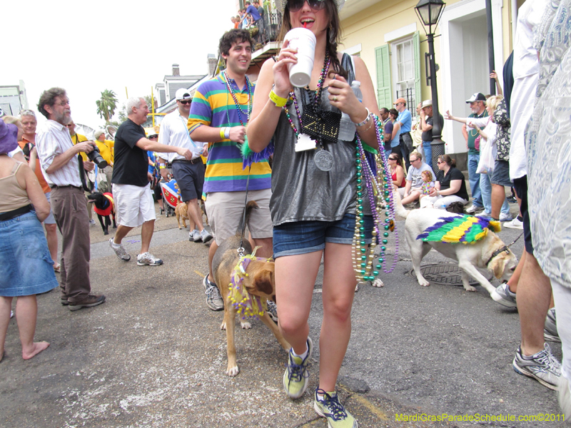 Mystic-Krewe-of-Barkus-HC-2011-0126