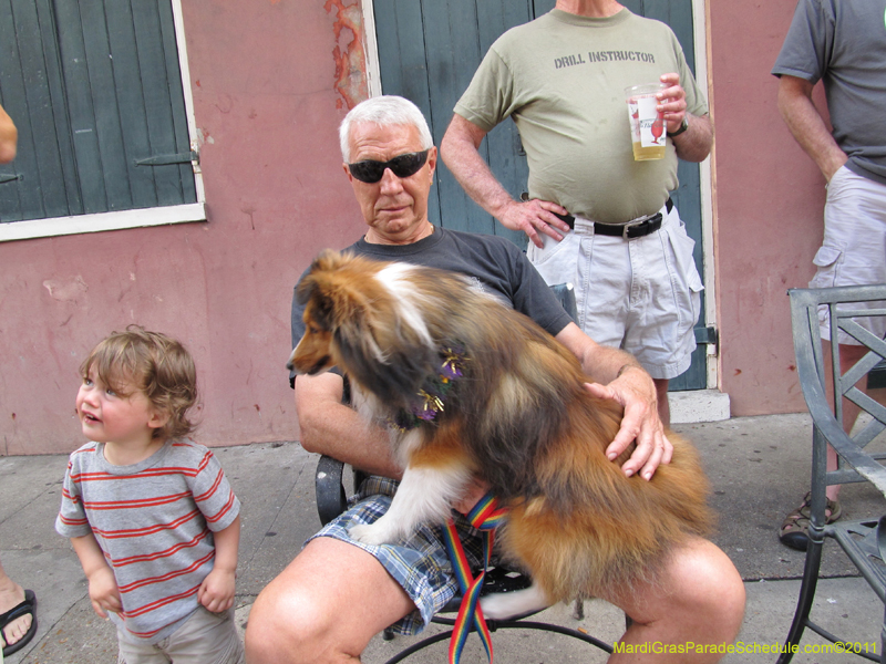 Mystic-Krewe-of-Barkus-HC-2011-0127