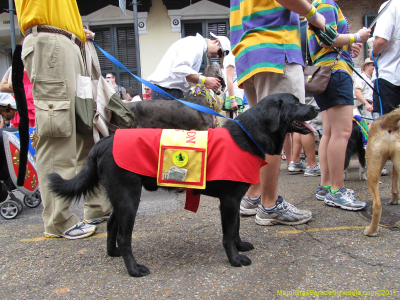 Mystic-Krewe-of-Barkus-HC-2011-0131