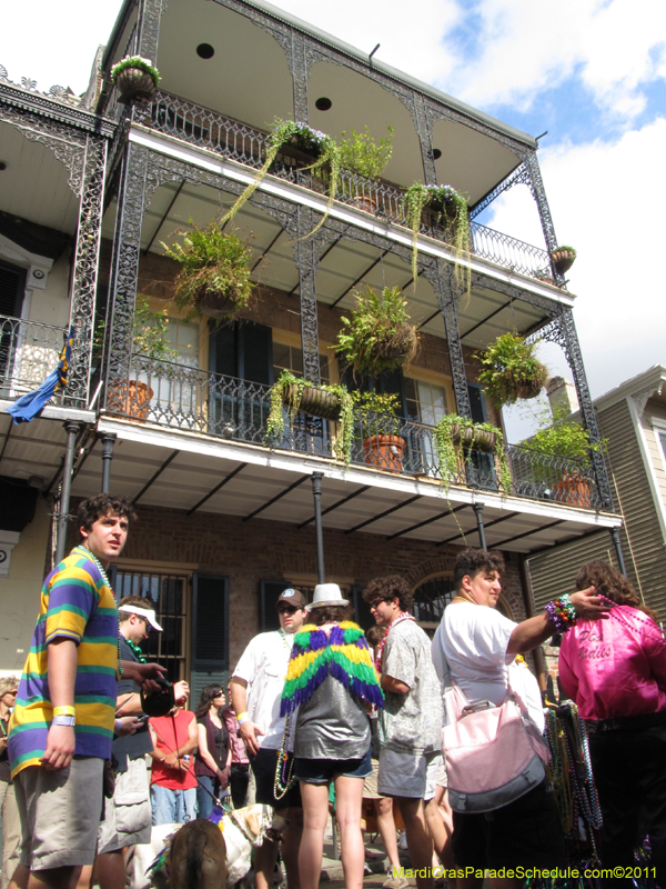 Mystic-Krewe-of-Barkus-HC-2011-0132