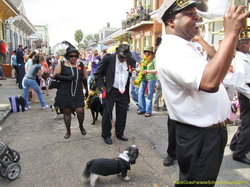 Mystic-Krewe-of-Barkus-HC-2011-0138