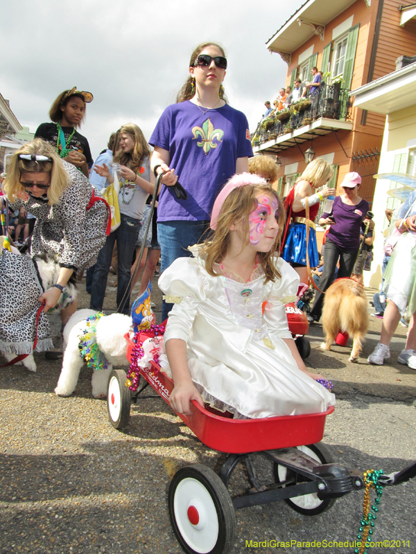 Mystic-Krewe-of-Barkus-HC-2011-0141