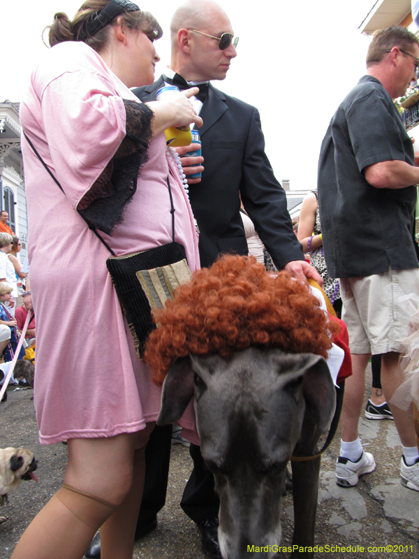 Mystic-Krewe-of-Barkus-HC-2011-0150