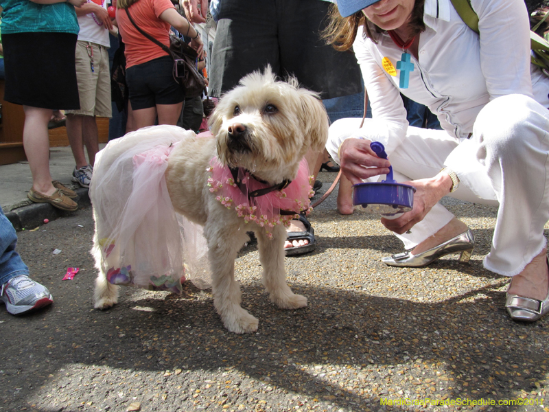 Mystic-Krewe-of-Barkus-HC-2011-0152