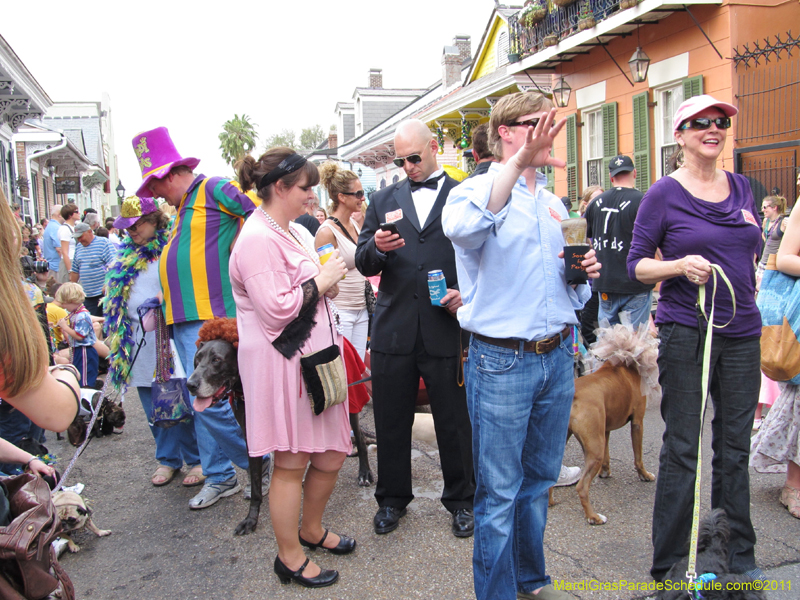 Mystic-Krewe-of-Barkus-HC-2011-0153