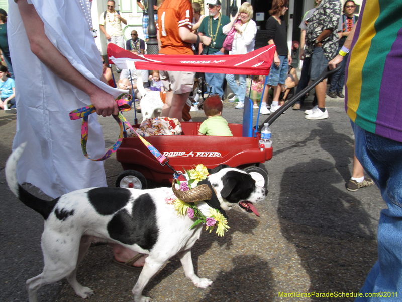 Mystic-Krewe-of-Barkus-HC-2011-0155