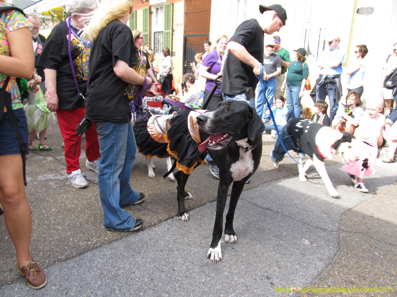 Mystic-Krewe-of-Barkus-HC-2011-0156