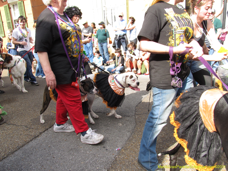 Mystic-Krewe-of-Barkus-HC-2011-0157