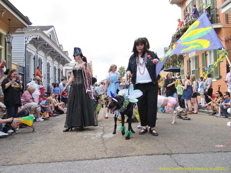 Mystic-Krewe-of-Barkus-HC-2011-0163