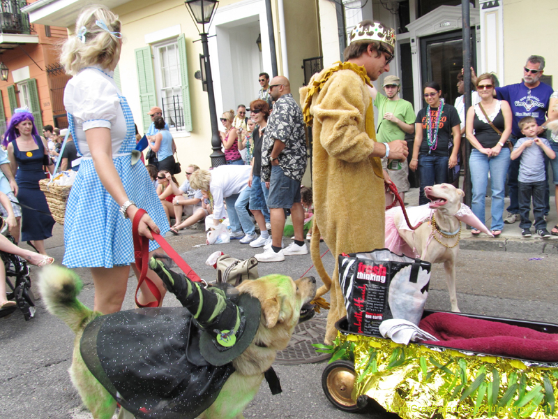 Mystic-Krewe-of-Barkus-HC-2011-0165