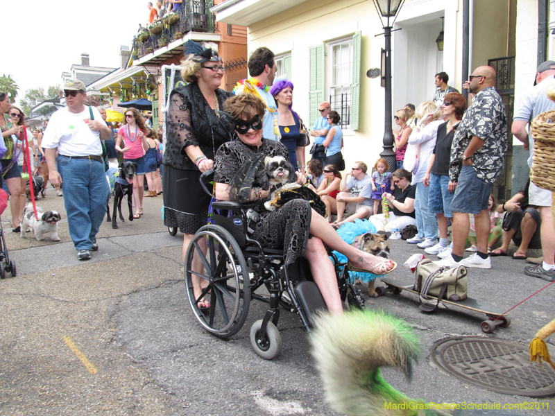 Mystic-Krewe-of-Barkus-HC-2011-0166