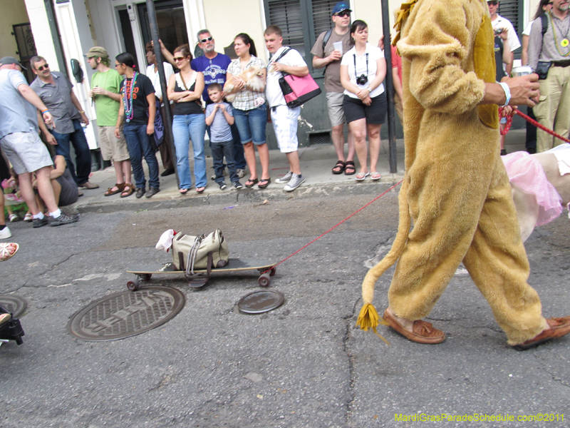 Mystic-Krewe-of-Barkus-HC-2011-0167