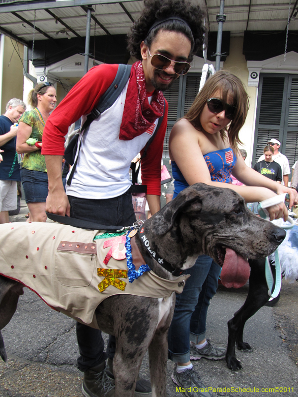 Mystic-Krewe-of-Barkus-HC-2011-0170