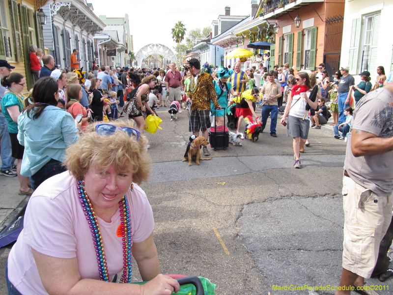 Mystic-Krewe-of-Barkus-HC-2011-0173