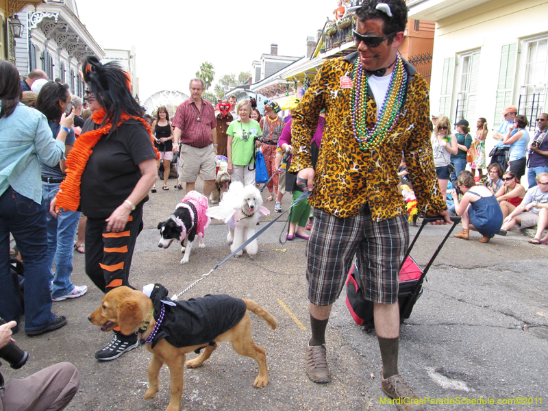 Mystic-Krewe-of-Barkus-HC-2011-0175