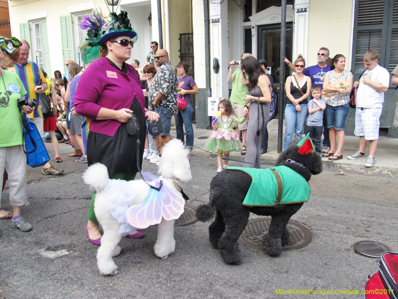 Mystic-Krewe-of-Barkus-HC-2011-0177